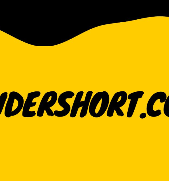 PonderShort.com: A New Hub for Short-Form Content Enthusiasts