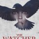 Title: "The Watcher": An In-Depth Exploration of the Chilling Thriller