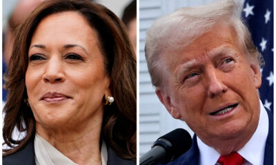 Trump vs. Harris: Betting Odds, Political Landscape, and Key Factors in the 2024 U.S. Presidential Election