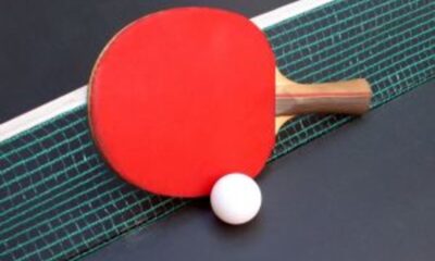 The Ping Pong Ball: A Lightweight Champion of Table Tennis